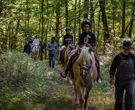 equestrian trail rides photo